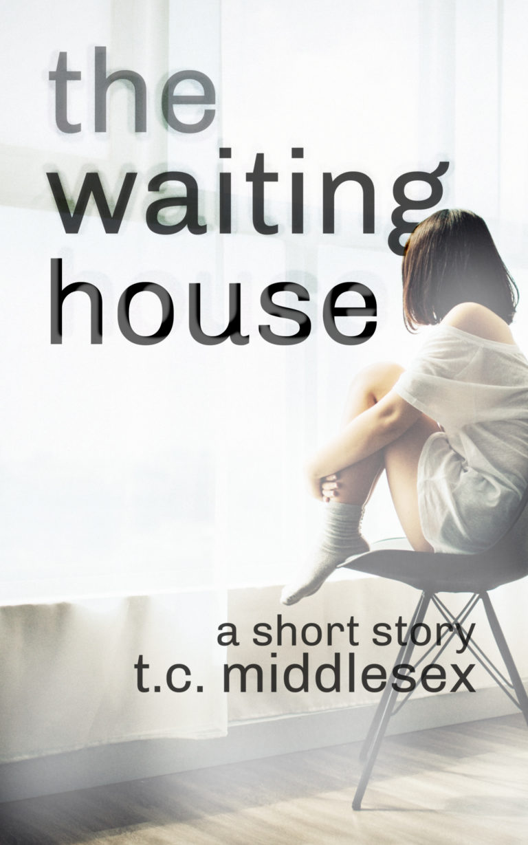 The Waiting House cover