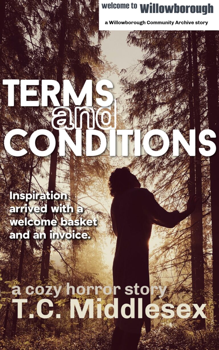 Terms and Conditions cover
